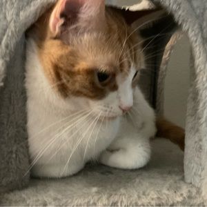 Meet your Posher, Ben